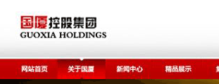 國廈控股集團(tuán) 網(wǎng)站設(shè)計(jì)